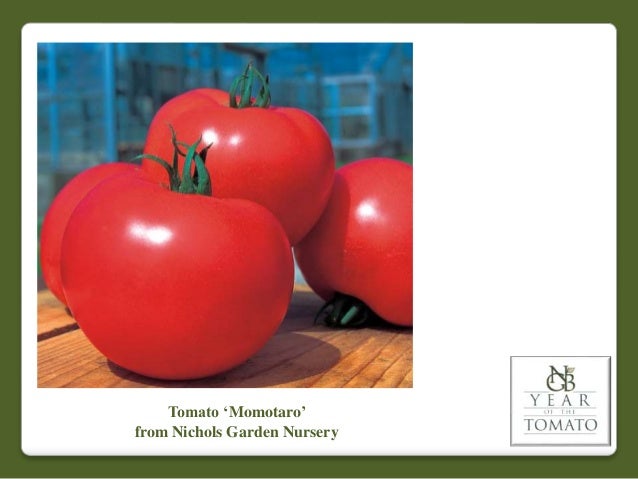 2011 Ngb Year Of The Tomato