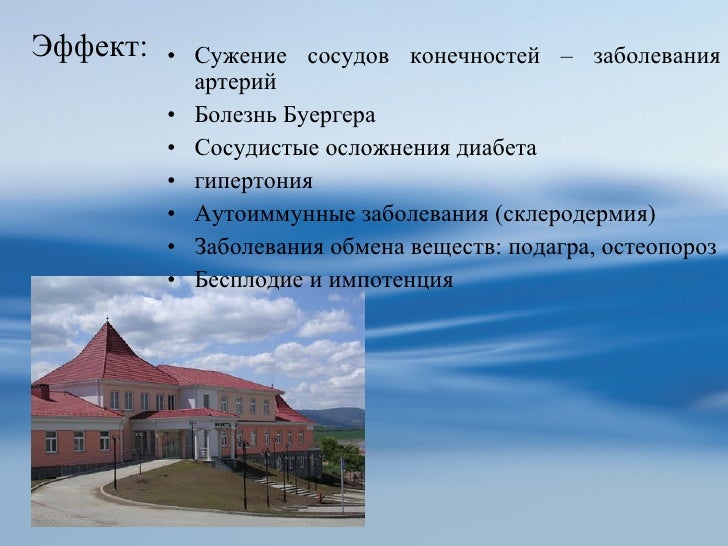 Чай из чего повышает потенцию у мужчин