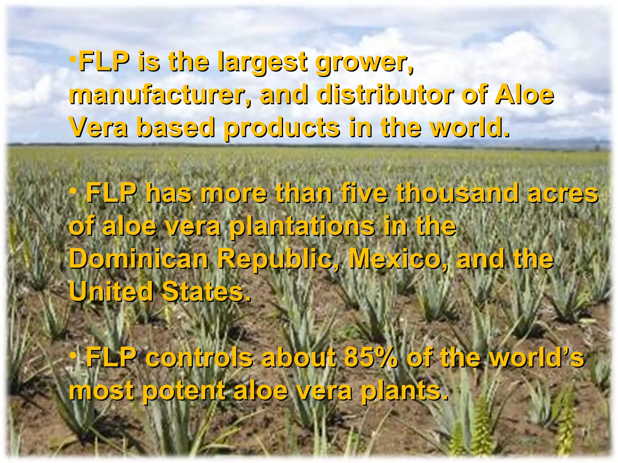 FLP is the largest grower, manufacturer, and distributor of Aloe Vera based products in the world. FLP has more than five thousand acres of aloe vera plantations in the Dominican Republic, Mexico, and the United States. FLP controls about 85% of the world’s most potent aloe vera plants. 