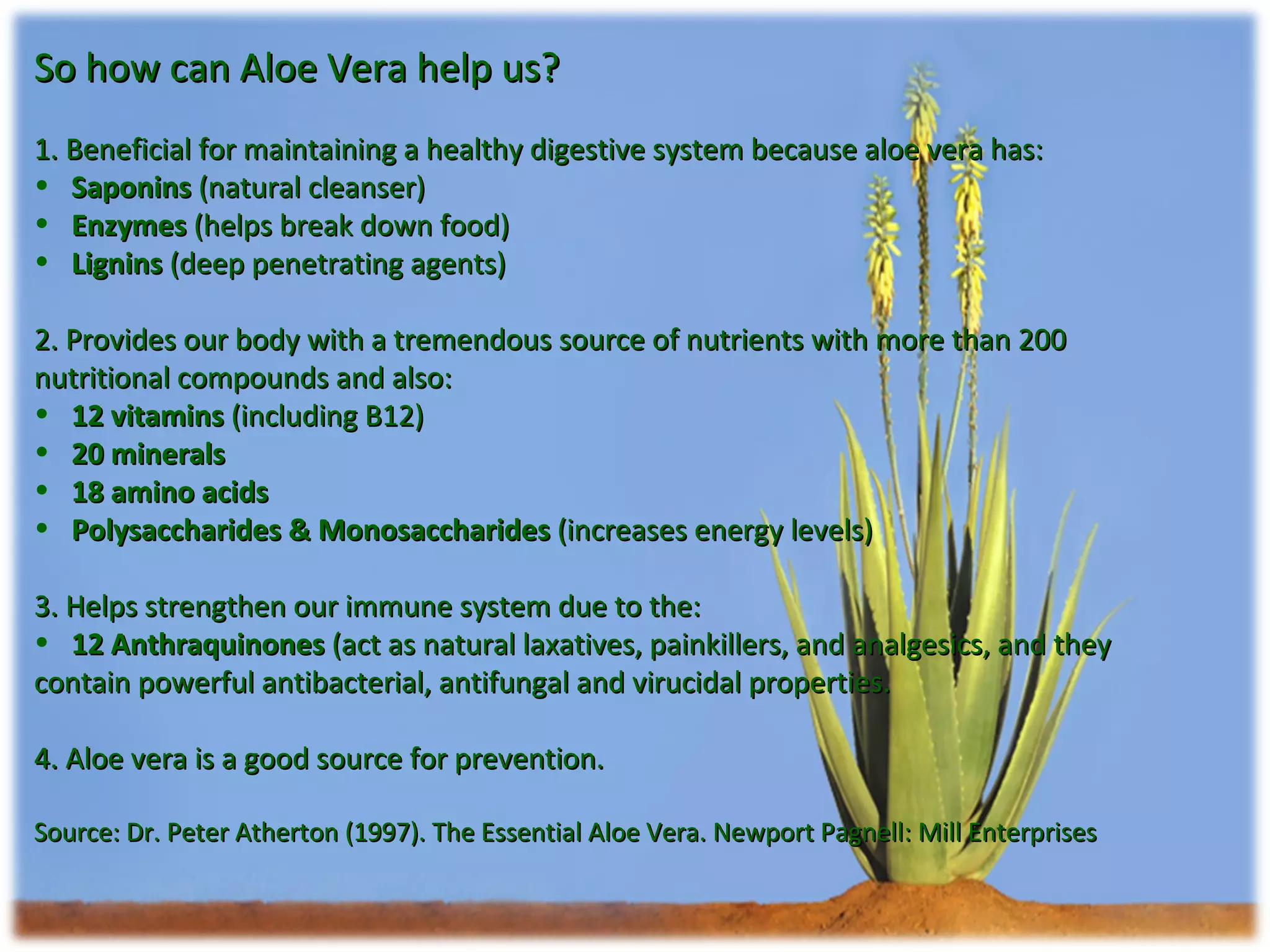 So how can Aloe Vera help us? 1. Beneficial for maintaining a healthy digestive system because aloe vera has: Saponins  (natural cleanser) Enzymes  (helps break down food) Lignins  (deep penetrating agents) 2. Provides our body with a tremendous source of nutrients with more than 200 nutritional compounds and also: 12 vitamins  (including B12) 20 minerals 18 amino acids Polysaccharides & Monosaccharides  (increases energy levels) 3. Helps strengthen our immune system due to the: 12 Anthraquinones  (act as natural laxatives, painkillers, and analgesics, and they contain powerful antibacterial, antifungal and virucidal properties.  4. Aloe vera is a good source for prevention. Source: Dr. Peter Atherton (1997). The Essential Aloe Vera. Newport Pagnell: Mill Enterprises 
