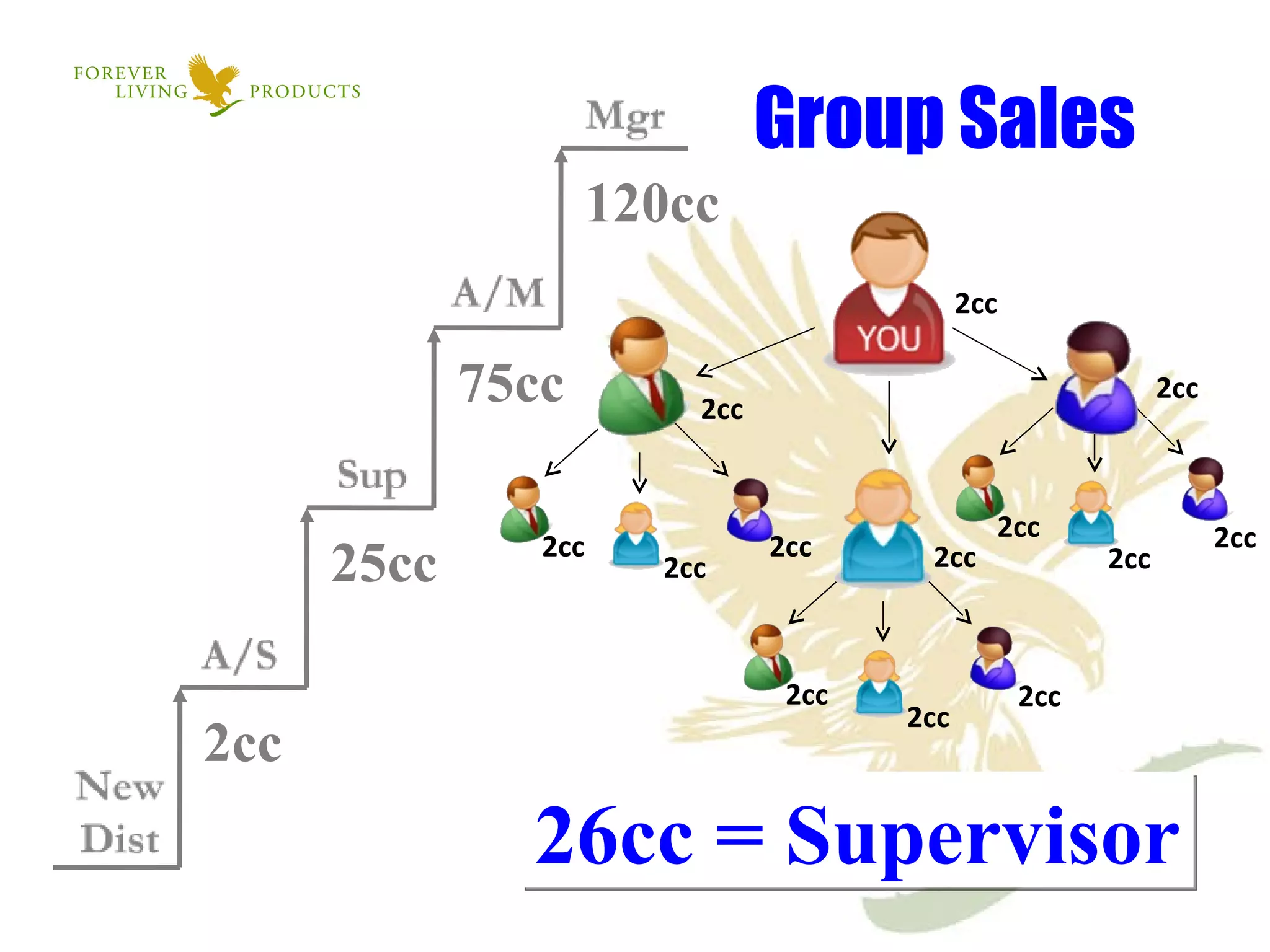 2cc 2cc 2cc 2cc 2cc 2cc 2cc 2cc 2cc 2cc 2cc 2cc 2cc 26cc = Supervisor Group Sales  2cc 25cc 75cc 120cc 