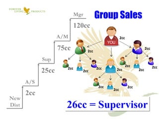 2cc 2cc 2cc 2cc 2cc 2cc 2cc 2cc 2cc 2cc 2cc 2cc 2cc 26cc = Supervisor Group Sales  2cc 25cc 75cc 120cc 