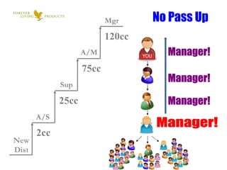 No Pass Up Manager! Manager! Manager! Manager! 2cc 25cc 75cc 120cc 