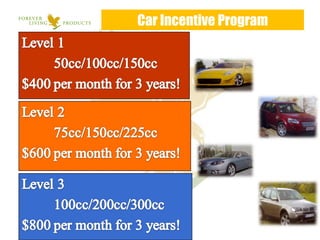 Car Incentive Program 