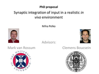 PhD proposal
   Synaptic integration of input in a realistic in
                vivo environment

                     Miha Pelko




                     Advisors:
Mark van Rossum                    Clemens Boucsein
 