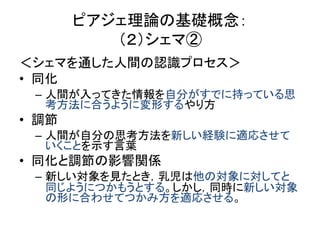 10piaget Theory01 10piaget Theory01