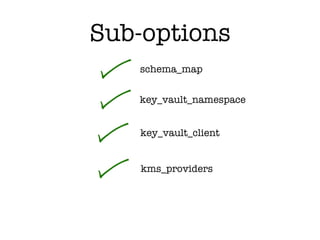 schema_map
Sub-options
key_vault_namespace
key_vault_client
kms_providers
 