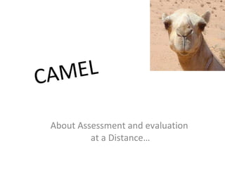CAMEL About Assessment and evaluation  at a Distance… 