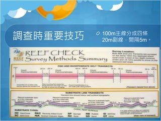 調查時重要技巧 100m主線分成四條
20m副線，間隔5m。
 