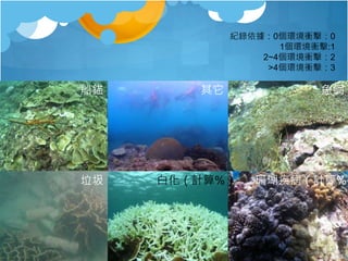紀錄依據：0個環境衝擊：0
1個環境衝擊:1
2~4個環境衝擊：2
>4個環境衝擊：3
船錨 其它 魚網
垃圾 白化（計算%） 珊瑚疾病（計算%）
 