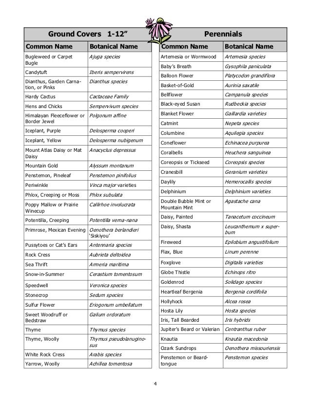 xeriscaping plant and tree list for central and eastern oregon xeriscaping plant and tree list for central and eastern oregon