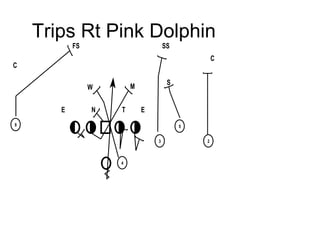 Trips Rt Pink Dolphin
FS

SS
C

C

E

N

S

M

W
T

E

9

5
3

4

2

 