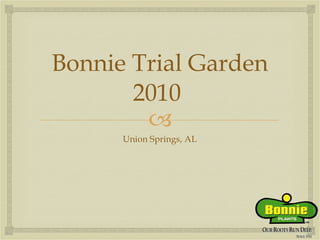 Bonnie Trial Garden 2010  ,[object Object]