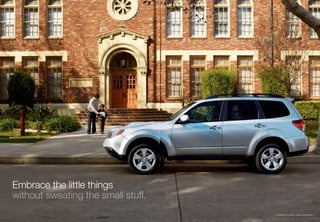 Embrace the little things

                            Forester 2.5XT Premium in Spark Silver Metallic.
 
