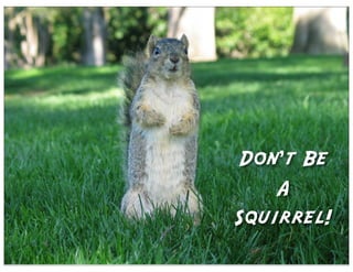 Don’t Be
    A
Squirrel!
 