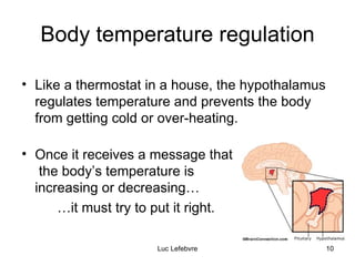 Body temperature regulation Like a thermostat in a house, the hypothalamus regulates temperature and prevents the body from getting cold or over-heating. Once it receives a message that  the body’s temperature is  increasing or decreasing…  … it must try to put it right. 