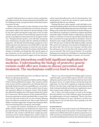 worldmags




            Joseph H. Nadeau has been on a quest to uncover mechanisms        entists unprecedentedly precise tools for dissecting these “situ-
         that might account for the missing components of heritability. And   ational genetics” to show how the variants in a gene’s molecular
         he is finding previously unsuspected modes of inheritance almost     neighborhood affect the way it behaves.
         everywhere he looks.                                                     Findings like these, taken together, could shed light on the
            Nadeau, who until recently was chair of genetics at Case West- missing-heritability problem, but at the cost of upending the domi-
         ern Reserve University in Cleveland and is now director of research  nance of traditional Mendelian ideas about how inheritance works.
         and academic affairs at the Institute for Systems Biology in Seat- Sitting on the outside deck of the Institute for Systems Biology one
         tle, has done studies showing that certain traits in mice are influ- recent afternoon, munching on a sandwich as seaplanes descended
         enced by specific stretches of variant DNA that appeared on their    toward the skyline of Seattle, Nadeau recalled giving a talk about
         parents’ or grandparents’ chromosomes but do not appear on their     all this at a conference several years ago and discovering afterward
         own. “Transgenerational” genetics, as he calls these unusual pat- that a prominent Ivy League geneticist in attendance, whom he
         terns of inheritance, fit partly under the umbrella of traditional   declined to name, simply couldn’t get the heretical ideas out of his
         epigenetics—the idea that chemical changes wrought by environ- head. “He came up to me after the talk,” Nadeau recalled, “and said,
         mental exposures and experiences can modify DNA in ways that ‘This can’t be true in humans.’ I ran into him at breakfast the next
         either muffle a normally vocal gene or restore the voice of a gene   day and he said, ‘This can’t be true in humans.’ And then when
         that had been silenced. Researchers have begun to find that these    the meeting was over, I ran into him at the airport, and he came
         changes are heritable even though they alter only the pattern of     up to me and said, ‘This can’t be true in humans.’ ” Or as another
         gene expression, not the actual genetic code. Yet it’s both more     leading genome scientist once told Nadeau at a meeting in Europe,
         disconcerting and more profound to suggest, as he does, that genes “If transgenerational effects happen in humans, we’re screwed.”


         Gene-gene interactions could hold significant implications for
         medicine. Understanding the biology of protective genetic
         variants could offer new routes to disease prevention and
         treatment. the mechanisms could even lead to new drugs.
         an ancestor carried but didn’t pass down can influence traits and          That is to say, discovering that his findings apply to humans
         diseases in subsequent generations.                                     would decouple a person’s DNA sequence from her or his traits,
            Consider the results of an experiment Nadeau and his colleague       calling into question much of the work scientists have done to find
         Vicki R. Nelson published last August. They created an inbred           the genetic sources of complex diseases and develop drugs that
         strain of mice and then compared two sets of females that were          target them. At a time when companies are analyzing customers’
         genetically identical except for one small difference: one set had a    DNA for a fee, these ideas would make the results much more dif-
         father whose Y chromosome came from another strain of mouse             ficult to interpret medically and much more complicated to assess
         and contained a different set of genetic variants. That shouldn’t       when trying to make a diagnosis or calculate disease risk.
         have affected the daughter mice at all, because females don’t inherit      Eric J. Topol, who heads genomic research at the Scripps
         the Y chromosome. But the presence of that uninherited DNA in           Research Institute in La Jolla, California, agrees that genomics
         the previous generation exerted a profound effect on many of the        has suddenly gotten a lot more complicated. “There’s a lot of non-
         more than 100 traits tested in the two sets of female offspring,        Mendelian stuff going on,” he says, “and there’s a lot that we’re
         whose own DNA was exactly the same. These results, Nelson and           going to have to sort out that doesn’t have anything to do with
         Nadeau concluded, suggest that “transgenerational genetic effects       the DNA sequence.”
         rival conventional genetics in frequency and strength.”
            In a separate but similarly unsettling line of experiments,          Ruining genetics
         Nadeau and his collaborators are finding that the impact of any         In 2009, a group of researchers based in the Netherlands pub-
         given gene depends on all the other genes surrounding it. Nadeau        lished a stunning study on the genetics of human height—stun-
         is hardly the only scientist to identify these complex gene-gene        ning because it failed to find much of a genetic component in one
         interactions, but he and his colleagues have created a unique set       of the most obvious of inherited human traits. The group analyzed
         of genetically engineered mice that is giving them and other sci-       54 recently identified genetic locations that statistical analysis sug-


    54   Feature Story                                                                                           technology review January/February 2011

worldmags
 