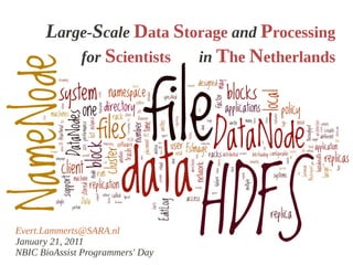 Large-Scale Data Storage and Processing
          for Scientists  in The Netherlands




Evert.Lammerts@SARA.nl
January 21, 2011
NBIC BioAssist Programmers' Day
 