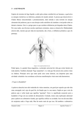 Eduardo Coelho Página 11 Apostila Versão 1.1
3 – A KUNDALINI
Espécie de torrente de fogo líquido a subir pela coluna vertebral do ser humano, a qual ativa
as energias instintivas ou inferiores, próprias do mundo animal. A pessoa que desenvolver o
Chakra Básico descontrolada e prematuramente, dará entrada à uma torrente de energia
elementar tão poderosa, que os seus desejos serão satisfeitos de imediato e terá poder sobre as
demais criaturas. Este é o perigo para os que recebem influências privilegiadas deste Chakra.
Por essa razão, nas diversas escolas espirituais existentes, nunca se desenvolve Mediunidade
através dele, mesmo que por data de nascimento, dia e hora, a influência primária a que ele
pertença.
Figura: www.experiencefestival.com
Poder ígneo, é a grande força magnética, o princípio universal de vida que existe latente em
toda matéria. Também chamada "fogo serpentino", é a vida que flui através dos centros vitais
ou chakras. Princípio ativo que tanto pode criar como destruir, seu despertar para uma
atividade voluntária visa coordenar as diversas manifestações vitais num todo harmonioso.
- O que é a Kundalini?
A palavra sânscrita tem sido traduzida de várias maneiras, em geral por aqueles que não têm
uma concepção real, seja ela qual for, da função que é a sua marca. Supõe-se que a raiz da
palavra seja o verbo kund, que significa "queimar". Este é o significado essencial, pois a
kundalini é Fogo em seu sentido de abrasamento. Contudo, temos uma explicação adicional
para a palavra no substantivo kunda, que significa orifício ou cavidade. Isso nos dá uma idéia
do recipiente onde o Fogo arde. Mas há muito mais do que isso. Há também o substantivo
 