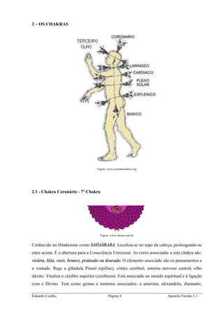 Eduardo Coelho Página 4 Apostila Versão 1.1
2 – OS CHAKRAS
Figura: www.caminhosdeluz.org
2.1 - Chakra Coronário - 7º Chakra
Figura: www.shama.com.br
Conhecido no Hinduísmo como SAHASRARA. Localiza-se no topo da cabeça, prolongando-se
mais acima. É a abertura para a Consciência Universal. As cores associadas a este chakra são:
violeta, lilás, roxo, branco, prateado ou dourado. O elemento associado são os pensamentos e
a vontade. Rege a glândula Pineal (epífise), córtex cerebral, sistema nervoso central, olho
direito. Vitaliza o cérebro superior (cerebrum). Está associado ao mundo espiritual e à ligação
com o Divino. Tem como gemas e minerais associados: a ametista, alexandrite, diamante,
 