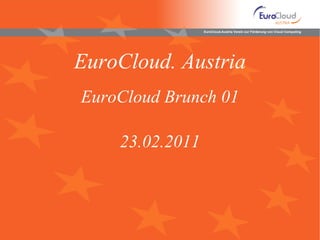 EuroCloud. Austria EuroCloud Brunch 01 23 .02.2011 