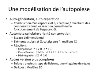 Une modélisation de l’autopoieseAuto-génération, auto-réparationConstruction d’un espace clôt qui capture / maintient des composants dont les réaction permettent le fonctionnement de l’espace clôt.Automate cellulaire orienté conservationEspace bidimensionnelEléments : substrat O, catalyseurs *, maillons ☐RéactionsComposition : * + 2 O  * + ☐Concaténation : ☐-☐-…-☐ + ☐  ☐-☐-…-☐-☐Désintégration : ☐  2 OAutres version plus complexesZeleny : plusieurs type de liaisons, une vingtaine de règlesDe Loor : Modèles 3D