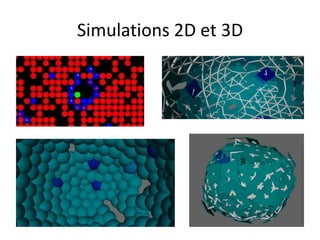 Simulations 2D et 3D