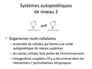 Systèmes autopoiétiquesde niveau 2Organismes multi-cellulairesensemble de cellules qui forme une unité autopoiétique de niveau supérieurles autres cellules font partie de l’environnementontogenèses couplées s’il y a récurrence dans les interactions / perturbations réciproques