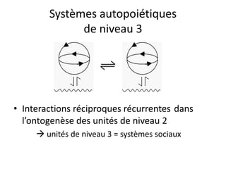 Systèmes autopoiétiquesde niveau 3Interactions réciproques récurrentes	 dans l’ontogenèse des unités de niveau 2 unités de niveau 3 = systèmes sociaux