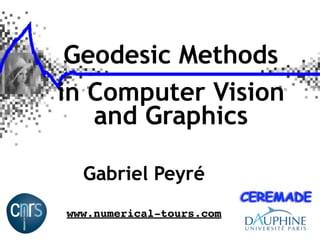 Geodesic Methods
in Computer Vision
   and Graphics

  Gabriel Peyré
www.numerical-tours.com
 