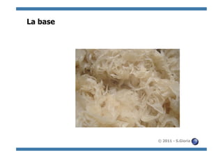 La base




          © 2011 - S.Gioria
 