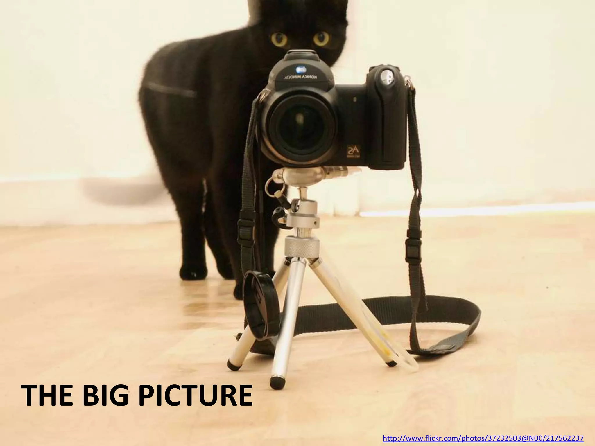 The Big Picturehttp://www.flickr.com/photos/37232503@N00/217562237