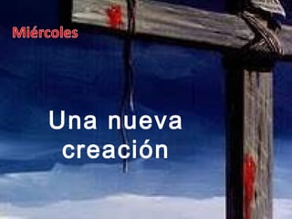 Una nueva
creación
 