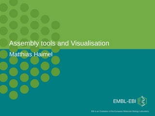 Assembly tools and Visualisation
Matthias Haimel




                          EBI is an Outstation of the European Molecular Biology Laboratory.
 