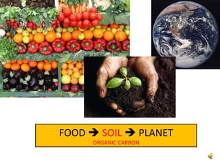 FOOD     SOIL     PLANET ORGANIC CARBON 