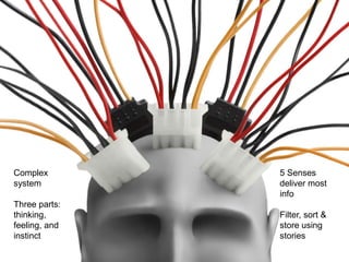 Complex        5 Senses
system         deliver most
               info
Three parts:
thinking,      Filter, sort &
feeling, and   store using
instinct       stories
 