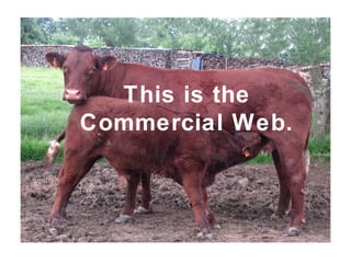 This is the
Commercial Web.
 