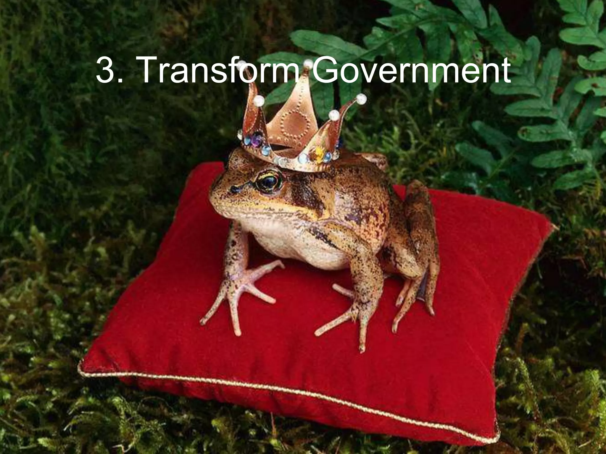 3. Transform Government
