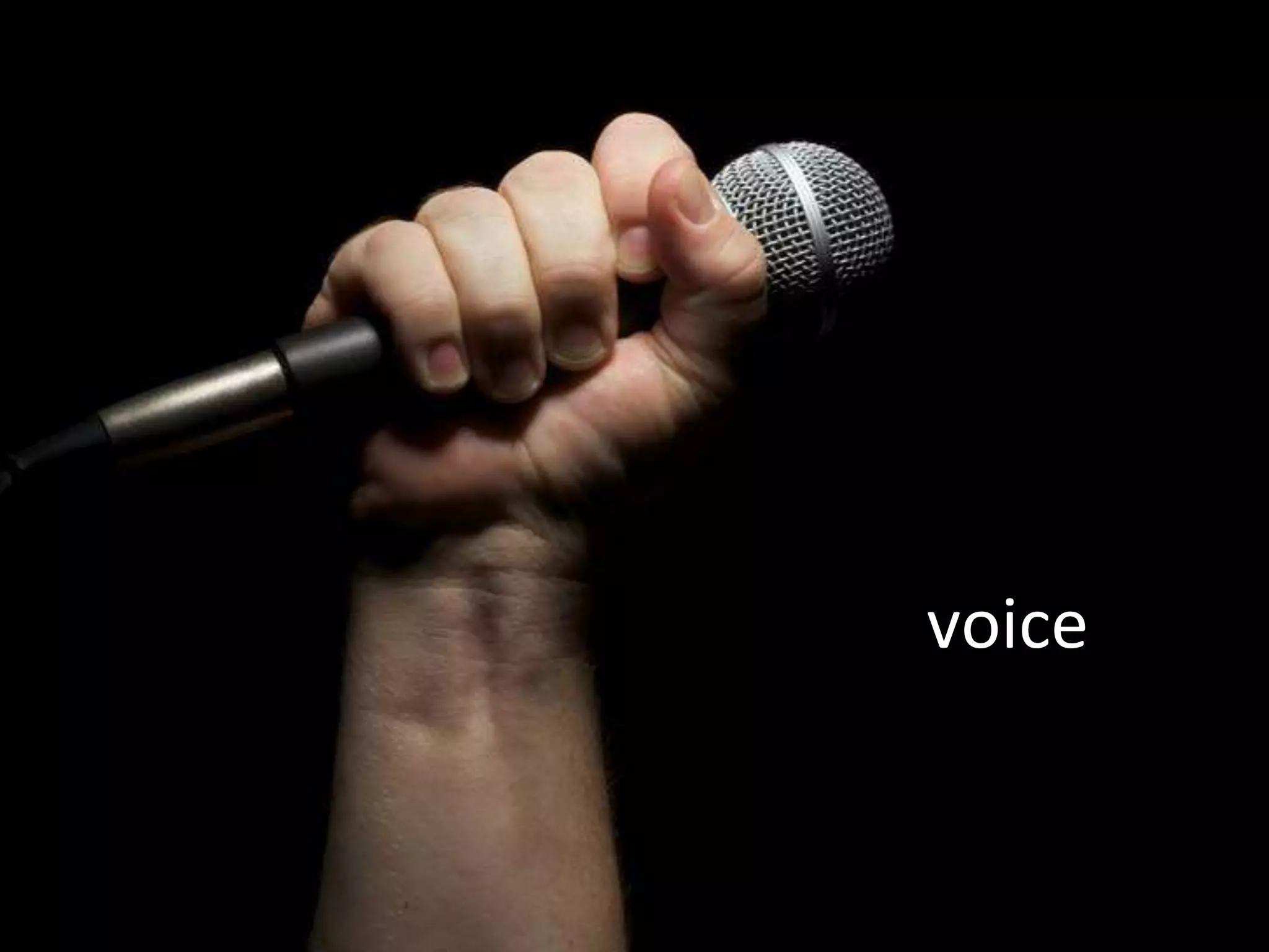 voice