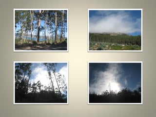 Santa Tecla ou Tegra