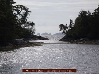 View from Willis, approaching high tide. Paul 