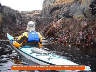 Charlie Michel Exploring the following morning, during the lowest tide of the trip 