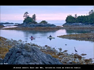 A heron greets Zach and Wes, returning from an evening paddle Les Moore 