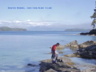 Paul Coaster Channel, seen from Clark Island 