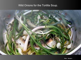 Wild Onions for the Tortilla Soup. Paul Cooney 