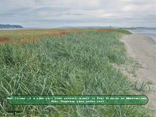Isaac Sun Rat Island is a sand spit that extends almost to Fort Flagler on Marrowstone. Port Townsend seen upper left 