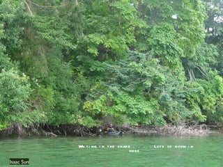 Isaac Sun Waiting in the shade . . .  Lots of room in here. 