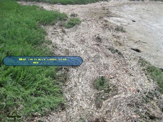 Isaac Sun What initially looks like mud . . .  