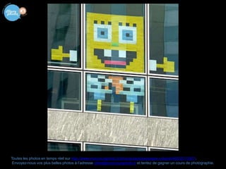 Toutes les photos en temps réel sur http://www.moncoursphoto.fr/photos/paris/paysages-urbains/465/20110811.Envoyez-nous vos plus belles photos à l’adresse chloe@moncoursphoto.fr et tentez de gagner un cours de photographie. 