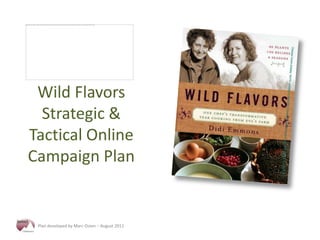Wild Flavors Strategic & Tactical Online Campaign Plan 